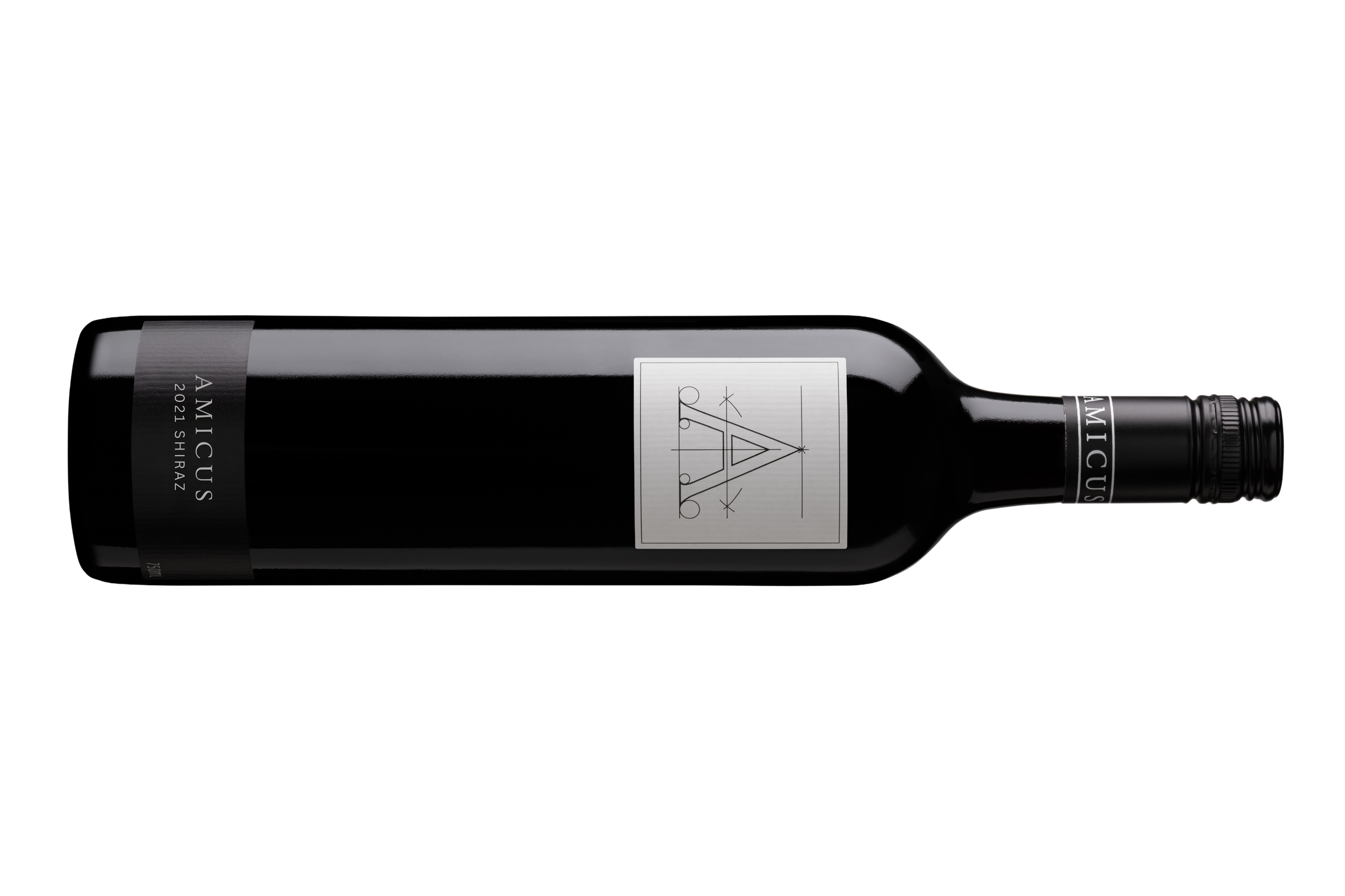 AMICUS 2021 SHIRAZ